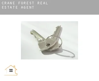 Crane Forest  real estate agent