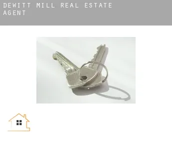Dewitt Mill  real estate agent