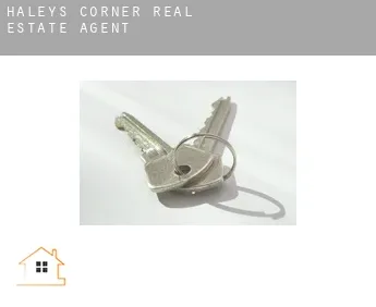 Haleys Corner  real estate agent