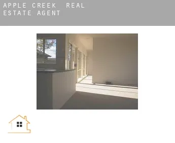 Apple Creek  real estate agent