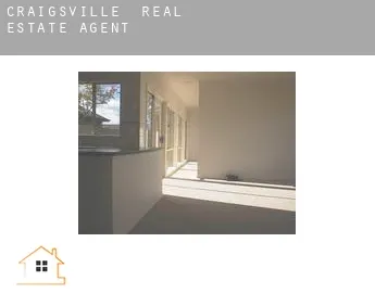 Craigsville  real estate agent