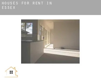 Houses for rent in  Essex