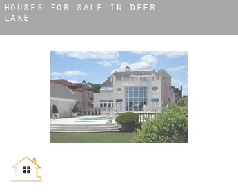 Houses for sale in  Deer Lake