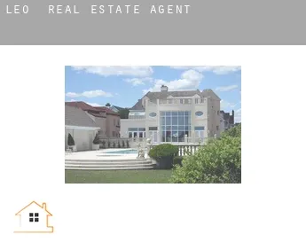 Leo  real estate agent