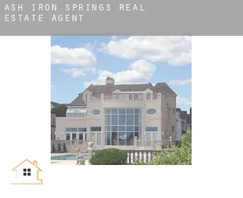 Ash Iron Springs  real estate agent