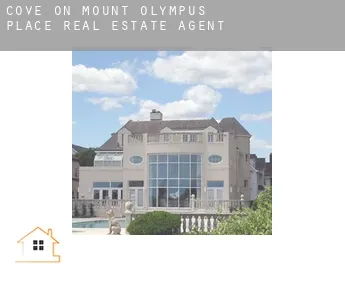 Cove on Mount Olympus Place  real estate agent