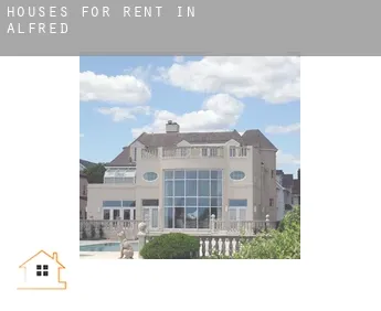 Houses for rent in  Alfred