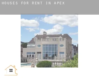 Houses for rent in  Apex