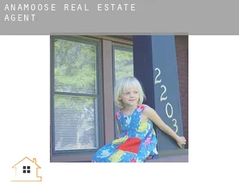 Anamoose  real estate agent