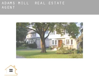 Adams Mill  real estate agent