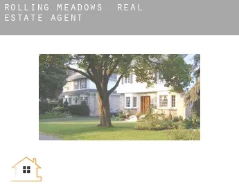 Rolling Meadows  real estate agent