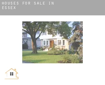 Houses for sale in  Essex