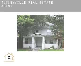 Tusseyville  real estate agent