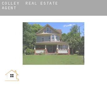 Colley  real estate agent