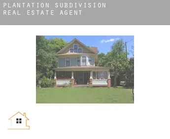 Plantation Subdivision  real estate agent