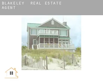 Blakeley  real estate agent