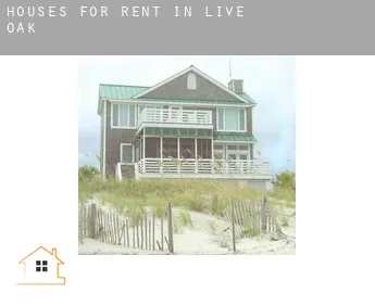 Houses for rent in  Live Oak