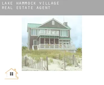 Lake Hammock Village  real estate agent