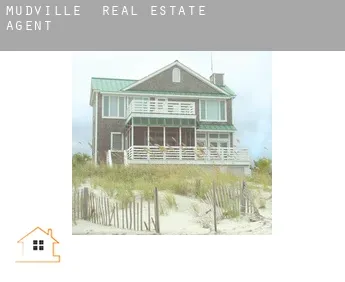 Mudville  real estate agent