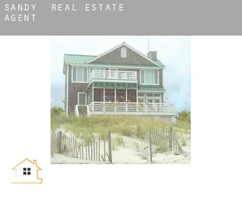 Sandy  real estate agent