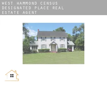 West Hammond  real estate agent