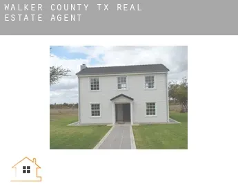 Walker County  real estate agent