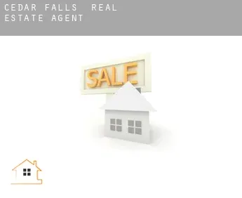 Cedar Falls  real estate agent