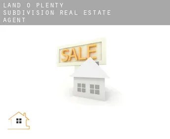 Land-O-Plenty Subdivision  real estate agent