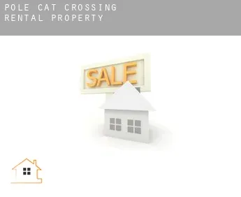 Pole Cat Crossing  rental property