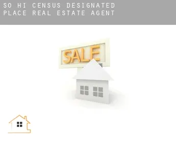 So-Hi  real estate agent