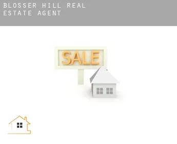 Blosser Hill  real estate agent