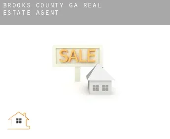 Brooks County  real estate agent