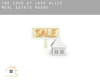The Cove at Lake Alice  real estate agent
