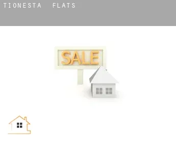 Tionesta  flats