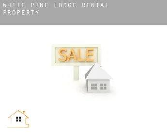 White Pine Lodge  rental property
