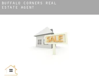 Buffalo Corners  real estate agent
