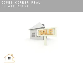 Copes Corner  real estate agent