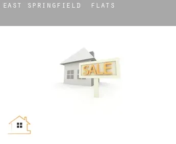East Springfield  flats