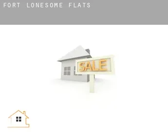 Fort Lonesome  flats