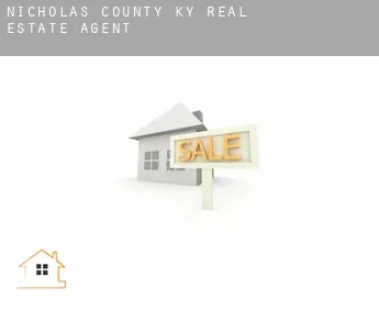 Nicholas County  real estate agent