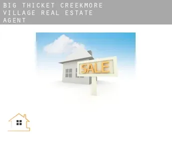 Big Thicket Creekmore Village  real estate agent