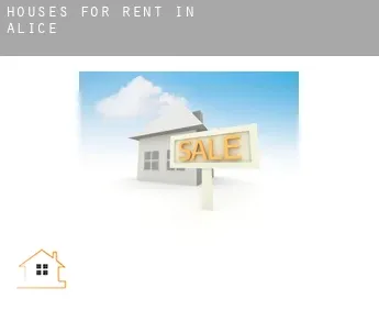 Houses for rent in  Alice
