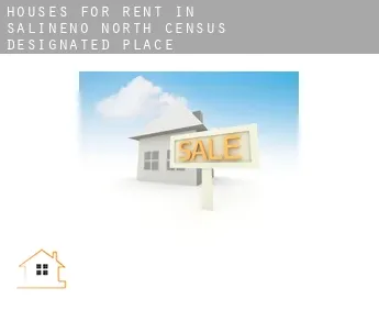 Houses for rent in  Salineno North