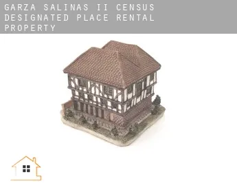 Garza-Salinas II  rental property