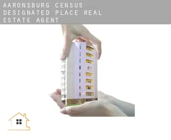 Aaronsburg  real estate agent