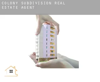 Colony Subdivision  real estate agent