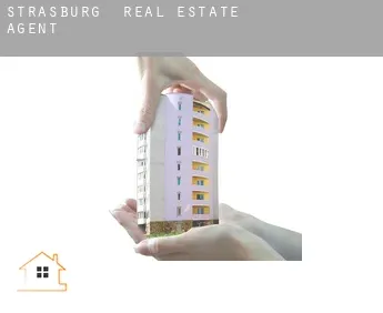 Strasburg  real estate agent