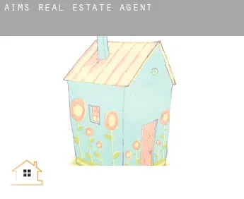 Aims  real estate agent