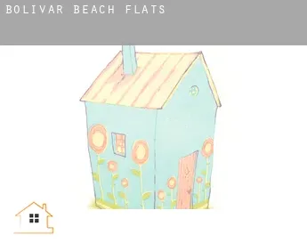 Bolivar Beach  flats