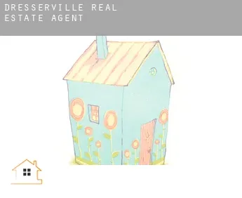 Dresserville  real estate agent
